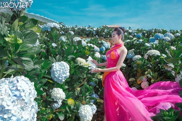 Hoa hậu Huỳnh Thuý Anh nàng thơ giữa vườn địa đàng hoa cẩm tú cầu