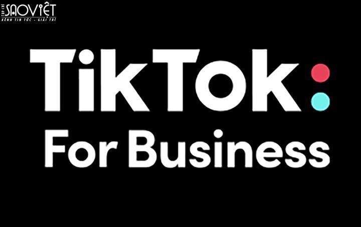 Nâng tầm hiệu quả của Câu chuyện Thương hiệu  với TikTok for Business