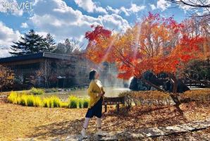 Hoàng Oanh chia sẻ ‘bí kíp’ du lịch Hàn Quốc