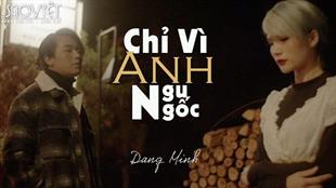 Nam ca sĩ trẻ Đặng Minh debut với MV “Chỉ Vì Anh Ngu Ngốc”