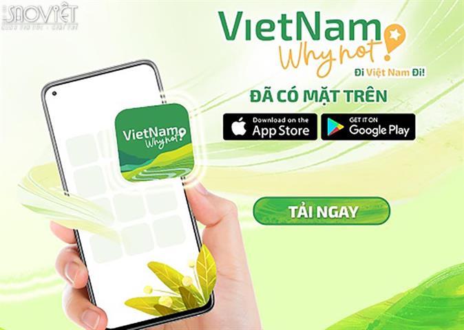 Ứng dụng Vietnam Why Not có điều gì khiến người dùng lập tức yêu thích ngay?